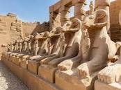 You Should See Things when visiting Japan